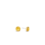 Ti Sento - Milano Oorbellen 7748TY