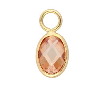 Swing Jewels Oorhanger EC-K14-12419-F