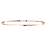 Elements Rose Silver Bangle DFBF4109