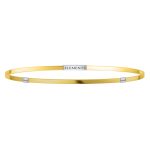 Elements Yellow Silver Bangle DFBF9600