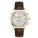 Boss Horloge HB1514327