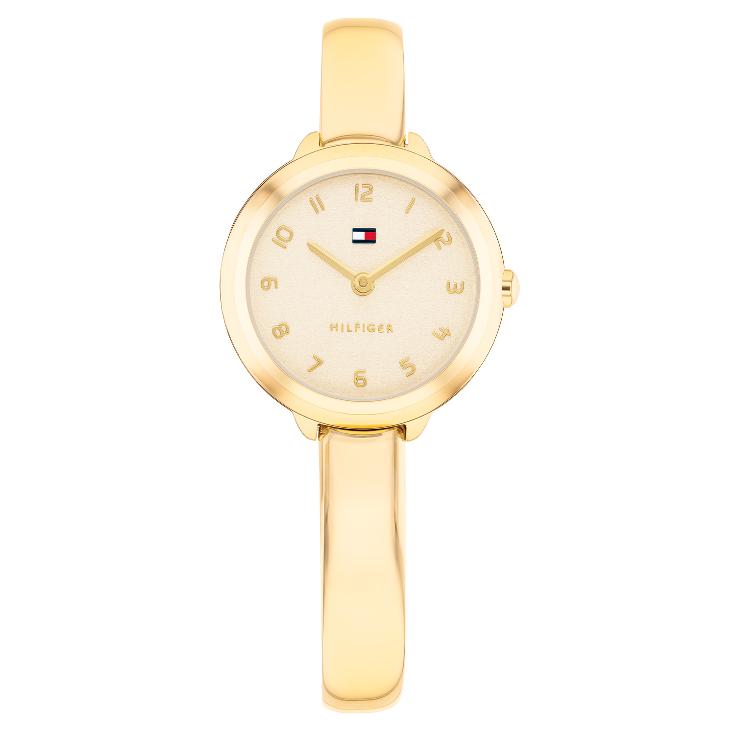 Tommy Hilfiger Horloge TH1782895