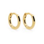 Karma Oorsieraden H420GP