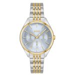 Hugo Boss Dames Horloge HB1502702 38 mm