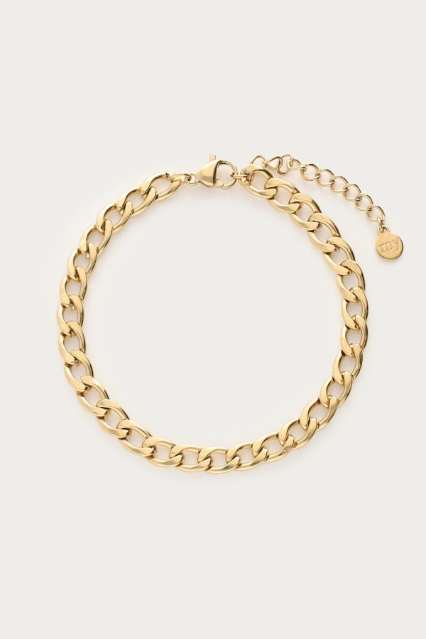 Armbandje schakels goud
