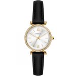 Fossil ES5127 Carlie Mini horloge